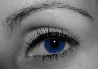 oeil bleu / blue eye