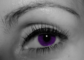 oeil violet / purple eye