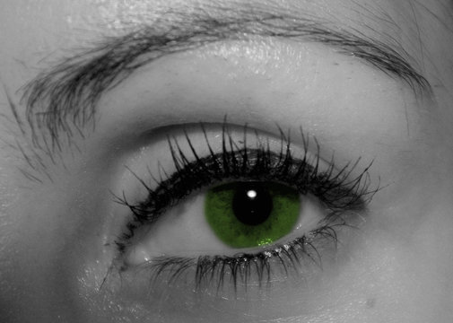 oeil vert / green eye
