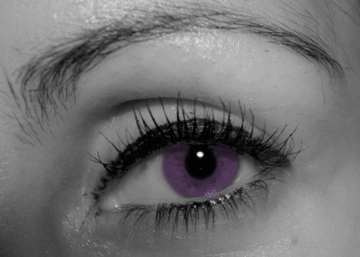 oeil violet clair / purple eye