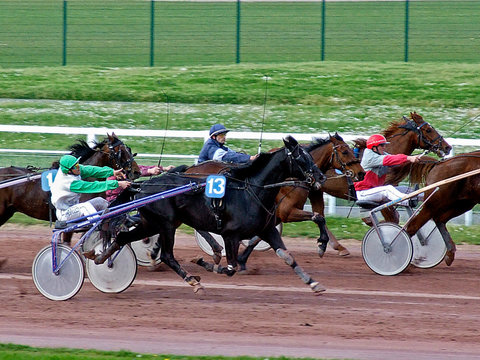 hippisme