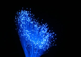 fiber