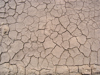 dry mud