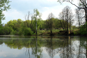 Fototapeta na wymiar spring walk in the park.