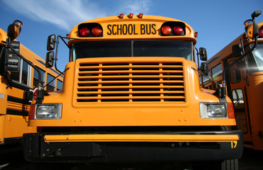 Fototapeta premium public school bus