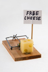 mouse trap with cheese and "free cheese" sign.