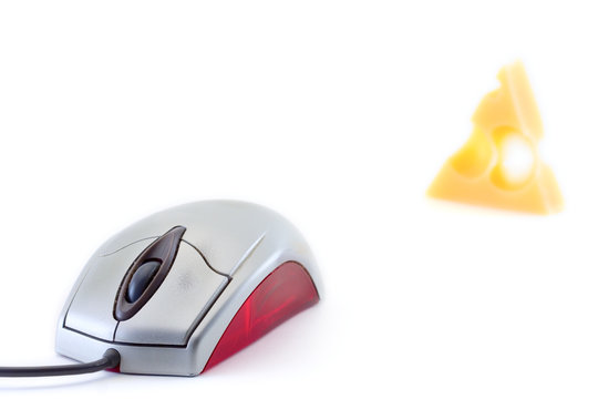 mouse and a piece of cheese