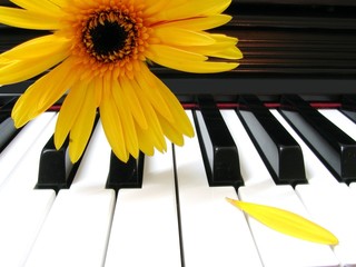 petal piano