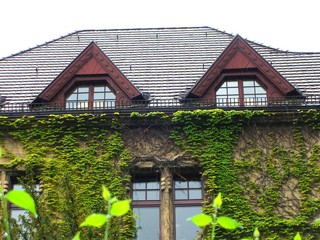 architektur 29