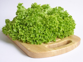 salad green