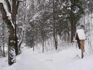 winterspaziergang