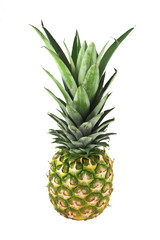 ripe pineapple on white