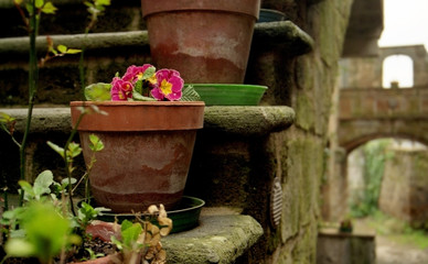 tuscan flower pot