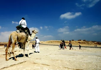 Foto op Canvas camel © Jose