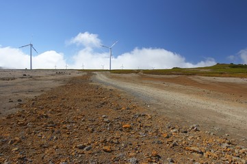 the wind mill