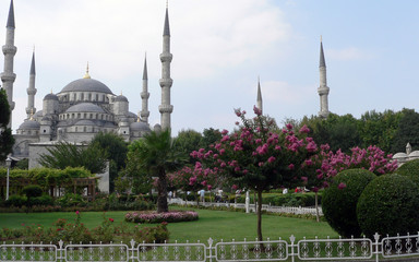 Fototapeta na wymiar blue mosquee