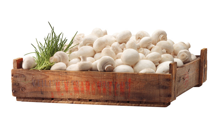 crate of fresh white mushroom