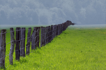 zaun auf weideland 02