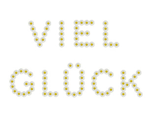 viel glück - isoliert