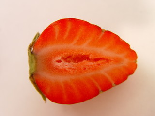fraise 05648