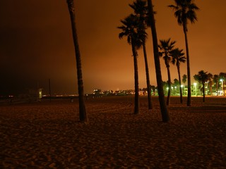 Obraz premium venice beach by night