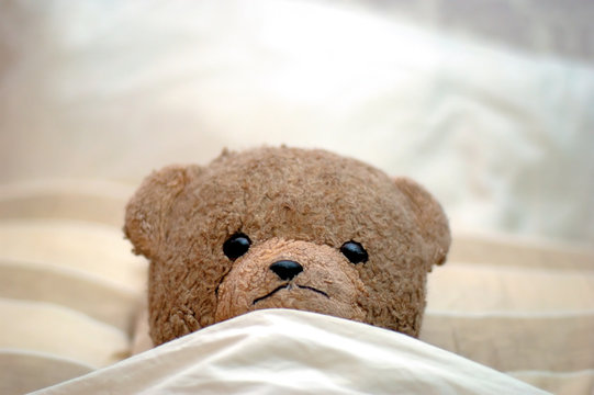 teddy goes to bed