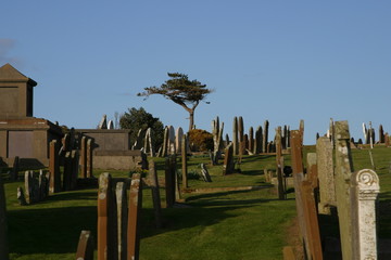 alter friedhof