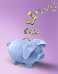 piggy bank