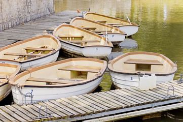 barques de promenades