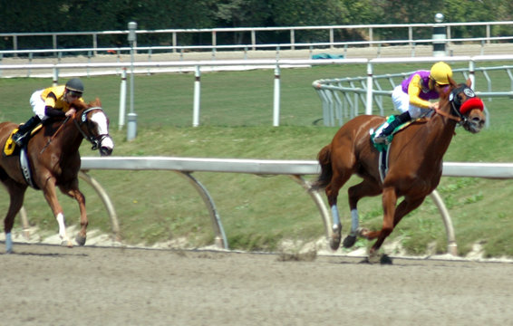 race horses turning into the stretch