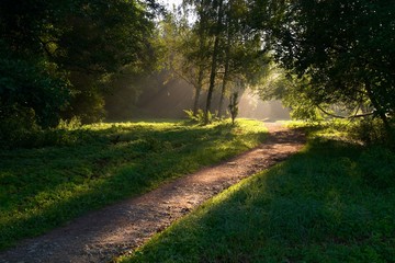 summer morning path