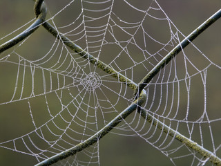 netzwerk © Daniel Fuhr