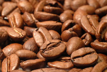 coffebeans