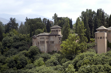 Fototapeta na wymiar alhambra-002