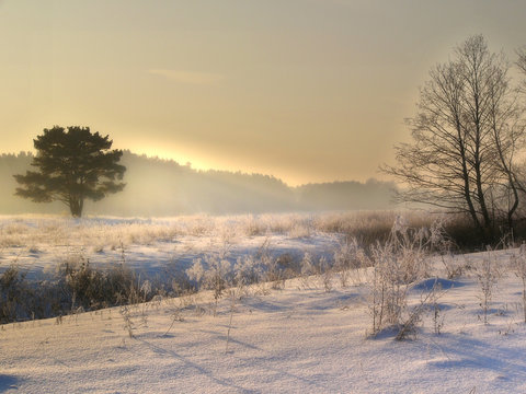 winter in arkhangelskoe manor