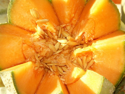 melon tranché
