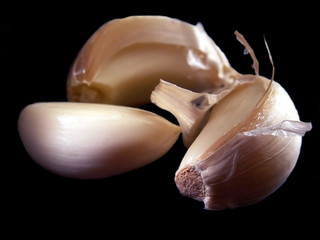 garlic