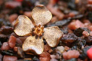 the lost adorning