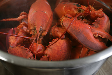 boiled lobster
