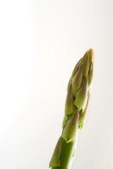 single asparagus