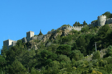 Fototapeta na wymiar castle in the mount