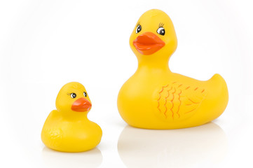 rubber ducks