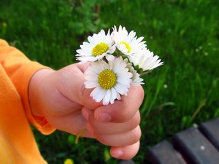 flowers for mum