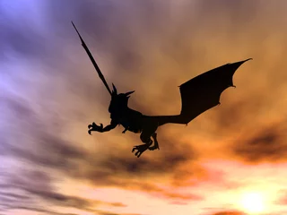 Washable wall murals Dragons dragon attack 1
