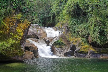 brazilian falls