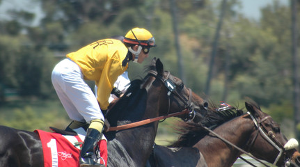 race horse & jockey