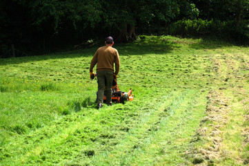 man mowing grass