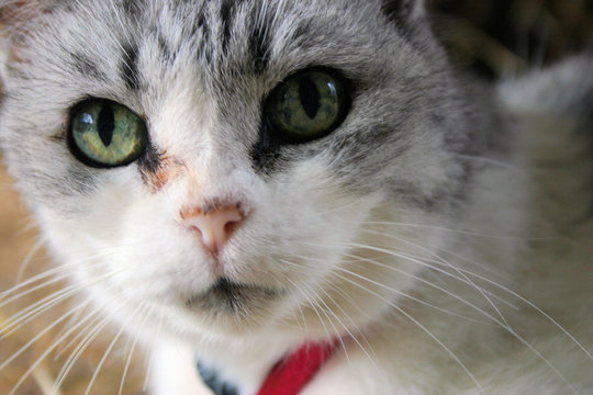 old eyes