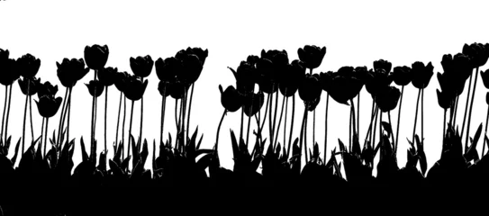 Deurstickers Zwart wit bloemen tulp 2kleur zwart