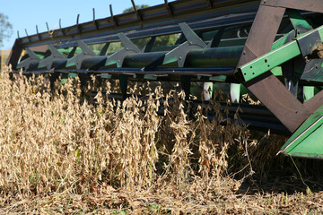 combine harvester